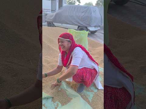 😂 #shorts #new #villagerlifestyle #viral #trendingshorts #villagelife #desi #