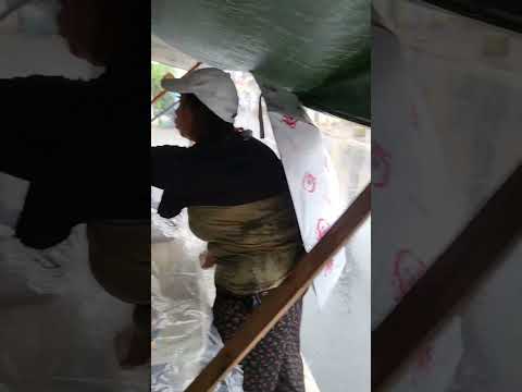 Rain Unexpected 😲 😯 #shortsfeed #shorts #viral #convalexa #trending #youtubeshorts #reels #tiktok