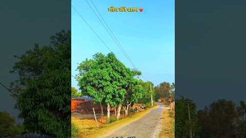 गांव की शाम❤️ #desi#minivlog#shortsfeed#villagelife#gaon#vlog#youtuber#shorts#trend#viral#bhojpuri