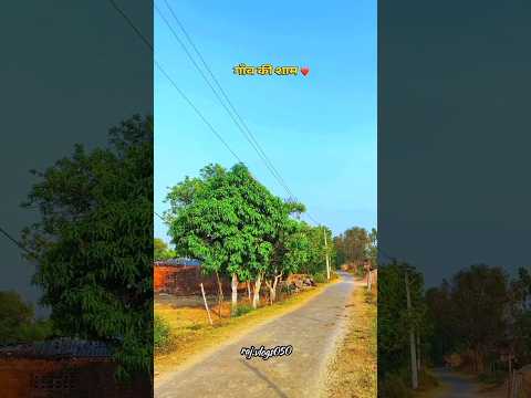 गांव की शाम❤️ #desi#minivlog#shortsfeed#villagelife#gaon#vlog#youtuber#shorts#trend#viral#bhojpuri