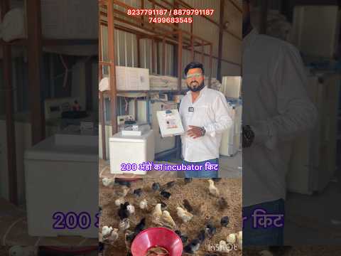200 eggs Incubator KIT new technology #poultry #incubator #desi #egg #farming