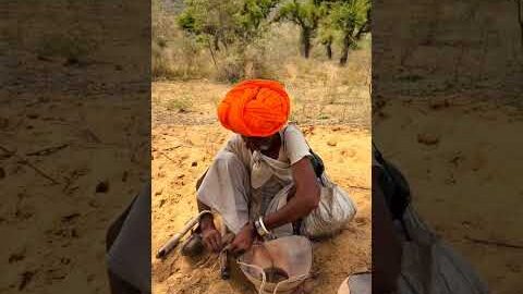 पक्षियों को पानी पीने के लिए #desi #rajsthan #life #lifestyle #rkamethi