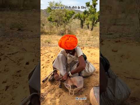 पक्षियों को पानी पीने के लिए #desi #rajsthan #life #lifestyle #rkamethi