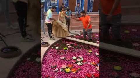 Wedding Photoshoot #viral #shorts