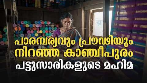പാരമ്പര്യവും പ്രൗഢിയും നിറഞ്ഞ കാഞ്ചീപുരം പട്ടുസാരികളുടെ മഹിമ| Malayalam news live | KOTTARAKARAMEDIA