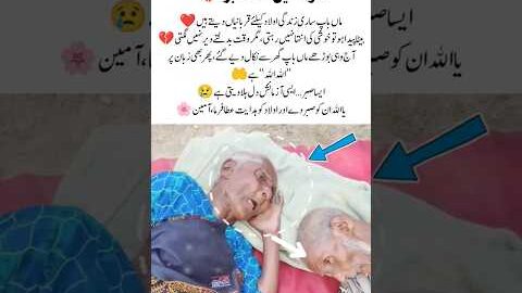 A Heartbreaking Story of Parents’ Love and Endless Patience 💔#ParentsLove #RespectElders #Humanit