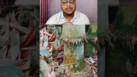 Bamboo cutting का desi hack! 😲 #desijugaad #skill #innovation #shorts #ytshorts
