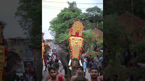 🎉 കൊട്ടാരക്കര ഉത്സവം 2026; തിരു ആറാട്ടോടെ സമാപനം 🏮 | Malayalam news live | KOTTARAKARAMEDIA