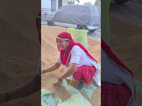 #shorts #ytshorts #haryanvisong #farmer #desi #villagelife #shortvideo #viral #dailyshorts