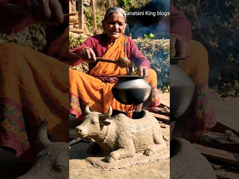 Oh My God Bhains jaisa Chulha 😱 Desi Jugaad