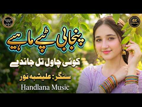 Koi Chawal Tul Jandy | New Punjabi Tappy Mahiye 2026| Alishbah Noor |Official Video | Handlana Music