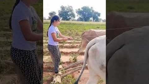 Framer Garl ..😅👍 #publicfarmer #karnataka #farmers #agriculture #india  #viral #trending