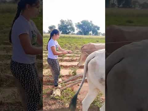 Framer Garl ..😅👍 #publicfarmer #karnataka #farmers #agriculture #india  #viral #trending