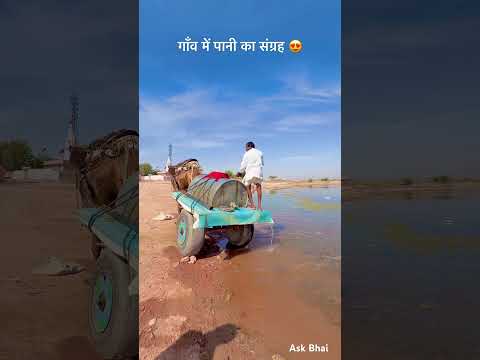 गाँव में पानी का संग्रह 😘 #desi #rajasthan #khana #roti #youtubeshorts #villagelife #reel #shorts