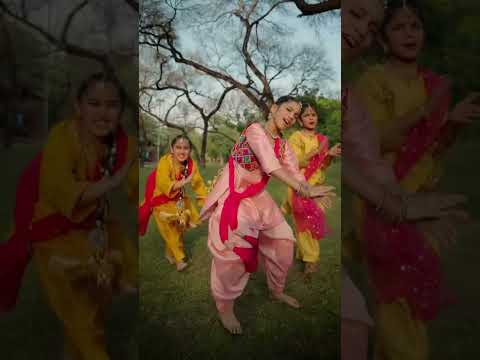 Bachke Ji Bachke – Ammy Virk- New Punjabi Song #yt #ytshorts