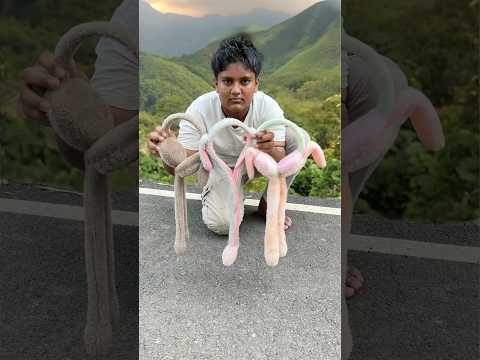 Best cute “3 Ta Na Na Na” unboxing desi style 🤯✨