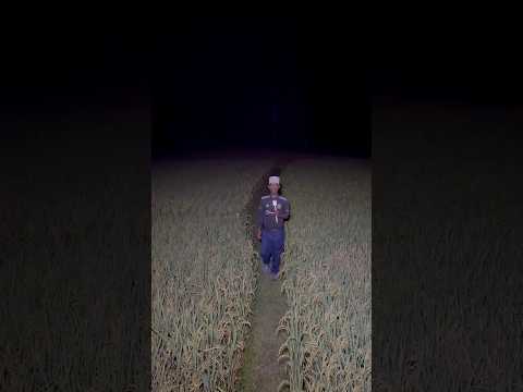 বর্তমানে ঝড় বৃষ্টি পরিস্থিতি 🤣😜 🌾 Midnight Field Reporter 😱 (Suspense)