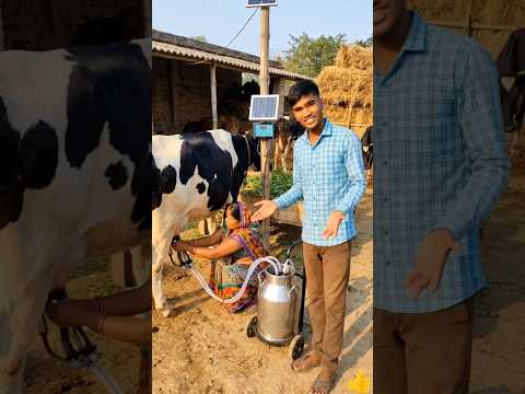 गाय का दूध निकालना हुआ आसान 🤯 | Solar Milking Machine Desi Jugaad #desijugaad #innovation  #kheti