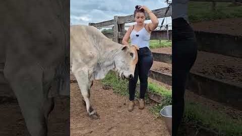 #Desi Gaon Ki Kahani – Mehnat Hi Pehchaan”“Village Life Vibes 🌿🐄 | Pure Hard Work”