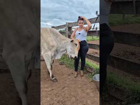 #Desi Gaon Ki Kahani – Mehnat Hi Pehchaan”“Village Life Vibes 🌿🐄 | Pure Hard Work”