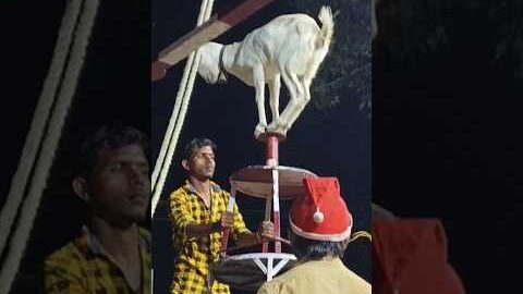 Full Video 💯 Click 👇 Village Circus Show #shorts #trending #fun #viral #reels