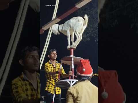 Full Video 💯 Click 👇 Village Circus Show #shorts #trending #fun #viral #reels