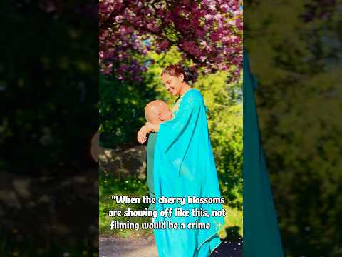 #cherryblossom #hindisong #desi #romance #springtime #musicvideo