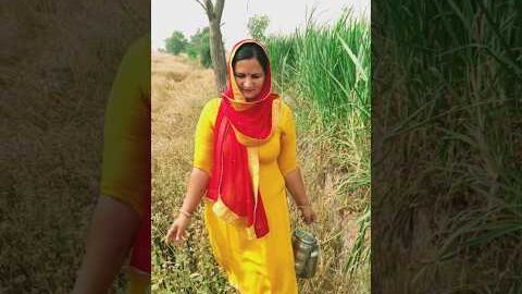 जय जमींदारा रोटी खेत मै लेआइए #viral #youtubeshorts #jamidarlife #desi #youtubefeed ✅✅💯💯🌾🌾😆😆