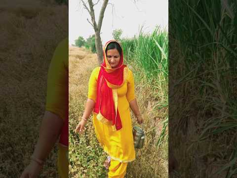 जय जमींदारा रोटी खेत मै लेआइए #viral #youtubeshorts #jamidarlife #desi #youtubefeed ✅✅💯💯🌾🌾😆😆