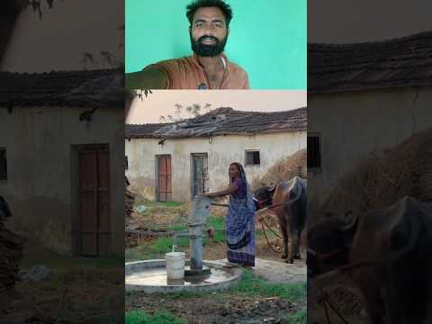 प्यारा गांव ⛺ #villagelifestyle #desi #viralblog #viral