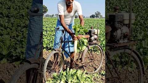 Desi farmar #farmer #desi #viral #shorts #trending