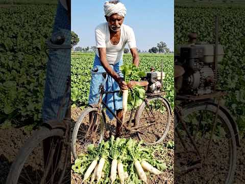 Desi farmar #farmer #desi #viral #shorts #trending