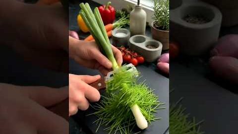 how to use steel vegetable cutter trending kitchen vegetable cutter steel vegetable cutter #trending