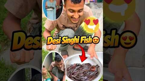 Desi Singhi Machli Mini Vlog 😍 – #minivlog #MiniVlogs #sonuvlogs #shorts #ytshorts #entertainment