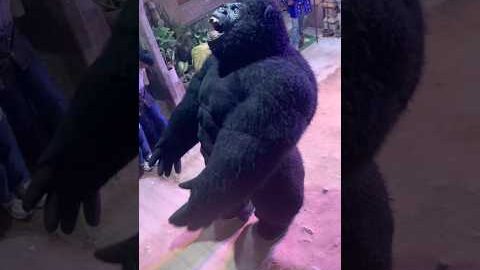 Funny😂..#funny #shorts #shortsfeed #viralshorts #public #gorila #monkey #dance #sorts