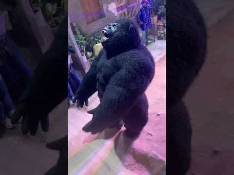 Funny😂..#funny #shorts #shortsfeed #viralshorts #public #gorila #monkey #dance #sorts