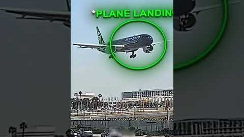 Georgina flight Nightmare and the man who saved the plane #viral #youtubeshorts #shortsfeed #yt