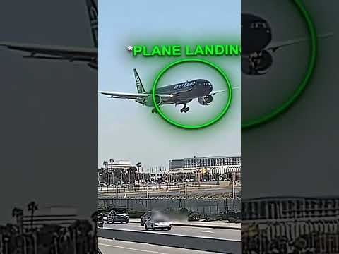 Georgina flight Nightmare and the man who saved the plane #viral #youtubeshorts #shortsfeed #yt