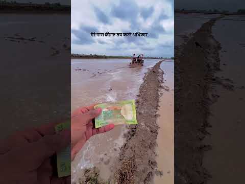 किसान🧑‍🌾🌾#farming  #kisan #desi #viralshort #shortsfeed #viralshorts