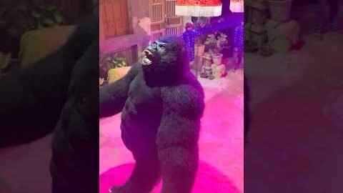 Funny😂..#funny #shorts #shortsfeed #viralshorts #public #gorila #monkey #dance #sorts