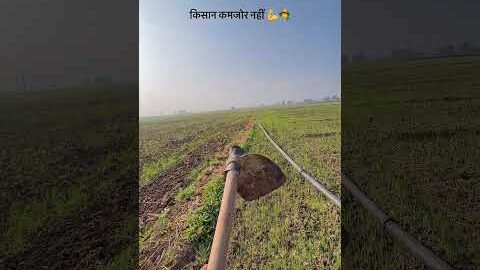 किसान🧑🌾🌾#farming #kisan #desi #viralshort #shortsfeed #viralshorts