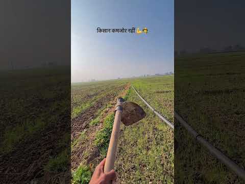 किसान🧑‍🌾🌾#farming  #kisan #desi #viralshort #shortsfeed #viralshorts