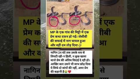 😱♥️#motivation#motivational#shorts#video#upsc#trending #shortvideo #ias#status#viral#facts#bome