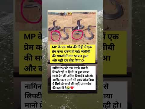 😱♥️#motivation#motivational#shorts#video#upsc#trending #shortvideo #ias#status#viral#facts#bome