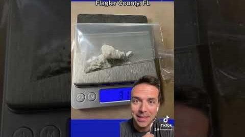 Dumbest Drug Dealer Ever? Florida man accused of mistakenly setting up drug deal with commissioner