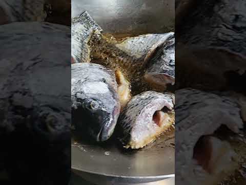 Fried fish🐟 🐠 🎣 🐟#shortsfeed #shorts #viral #convalexa #trending #youtubeshorts #love #tiktok