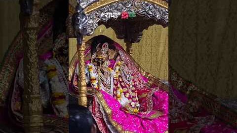 #radha #radharani #radhavallabh #radharaman #vrindavan #bakebihariji #mathura #ytshortsindia #viral