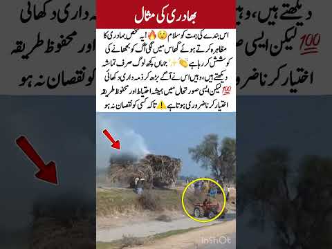 Brave Man Steps In to Stop Fire 🚜🔥#Viral #Brave #Fire #Respect #Trending #MustWatch #USA #UK #foru