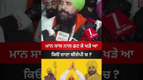 Why Join BJP AAP MP #bjp #punjab #news #aap #kang #bhagwantmann #aappunjab #viral #aapmp #shorts