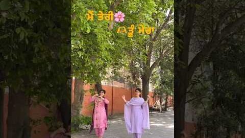 new punjabi bhangra girls video ππ#punjabisong #shorts #viral